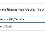 web_api_tab.JPG